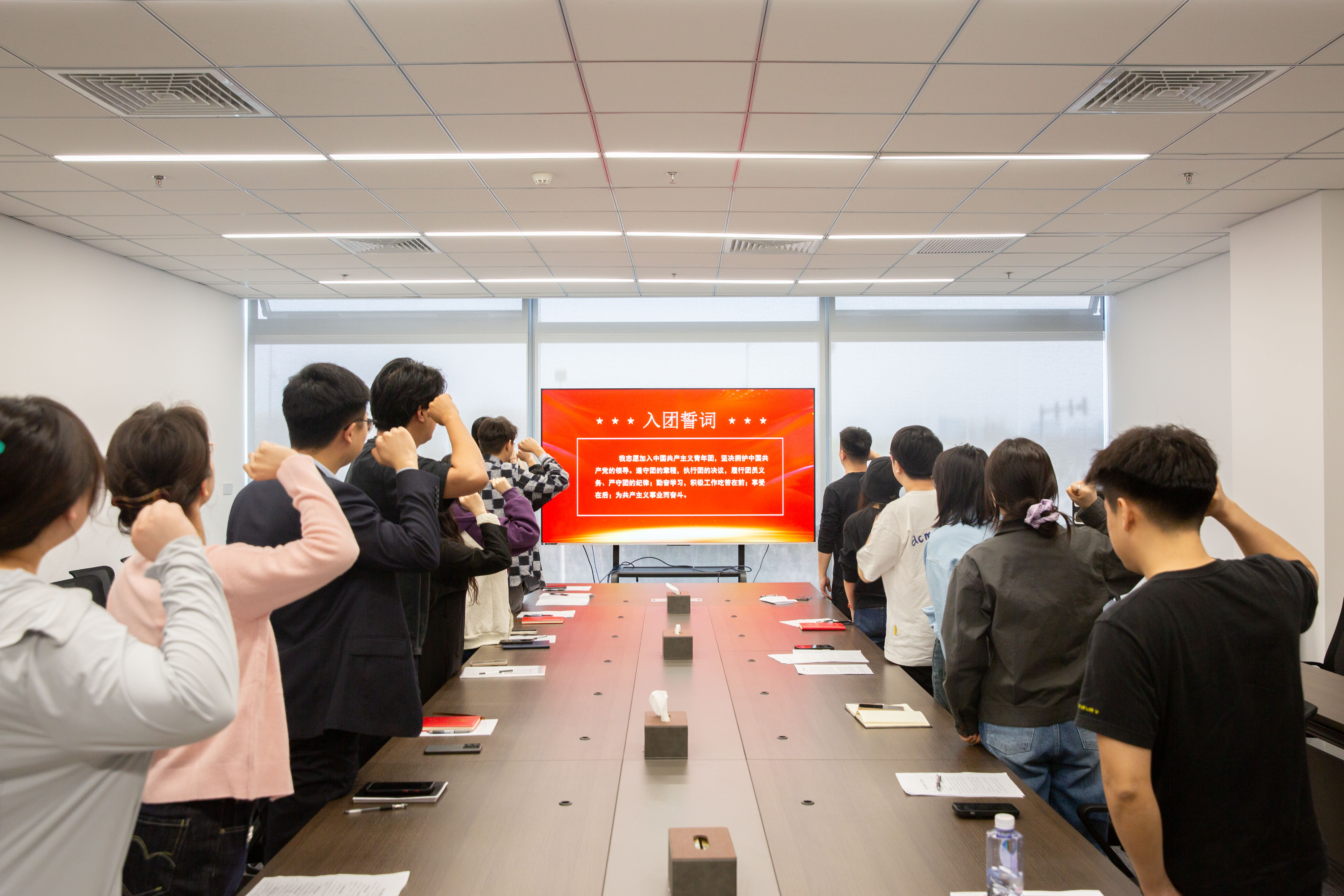 团组织生活会宣誓.jpg