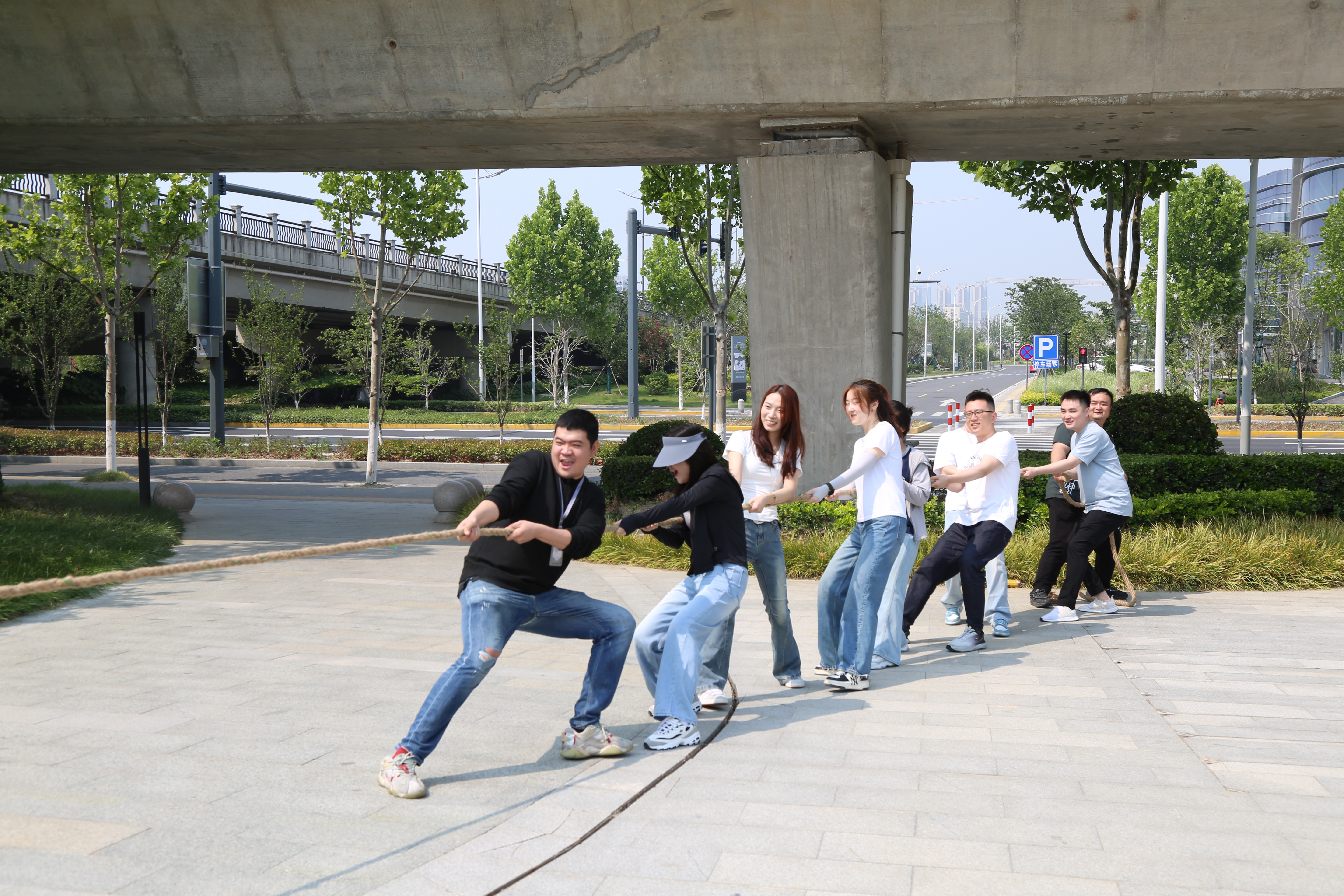 图2.jpg